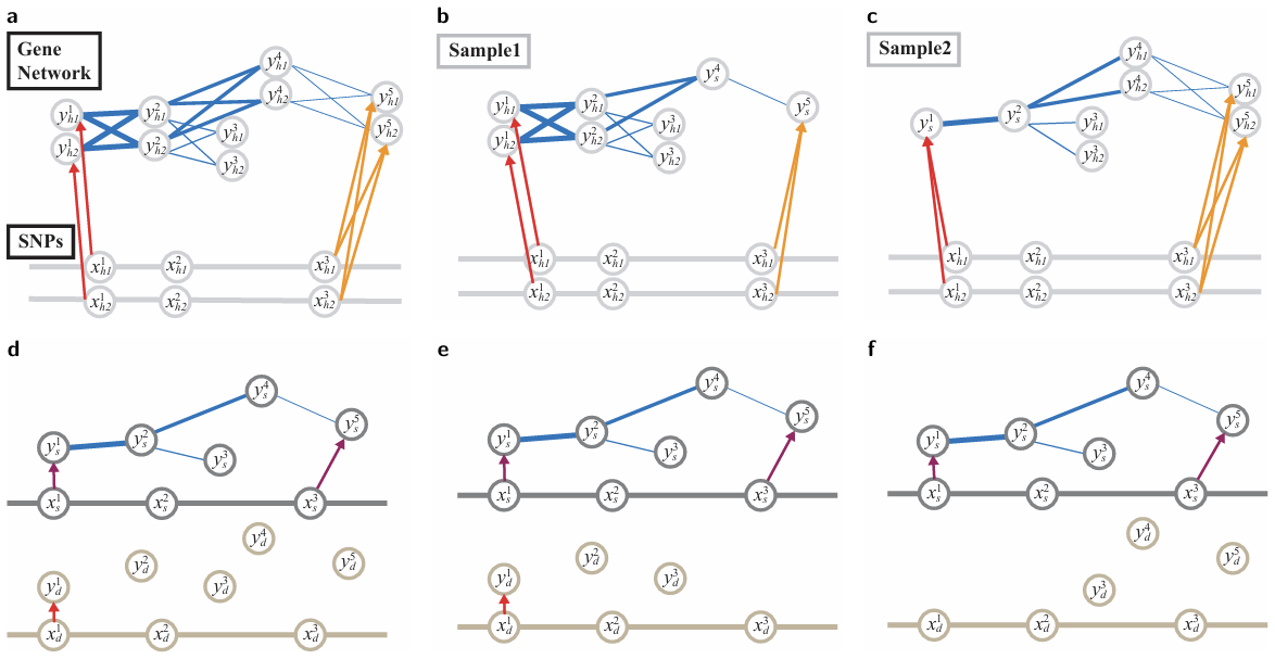 Graphical models of a gene network perturbed by cis-acting and trans-acting eQTLs, and the sum-difference models derived from them